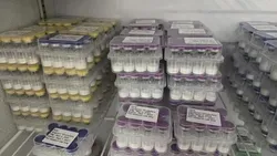 hmg 75 iu × 10 vials | premium usa peptide for research